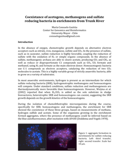 Coexistance of Acetogens, Methanogens and Sulfate Reducing Bacteria in Enrichments from Trunk River