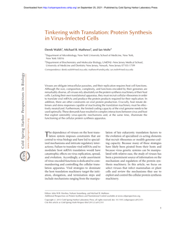 Tinkering with Translation: Protein Synthesis in Virus-Infected Cells
