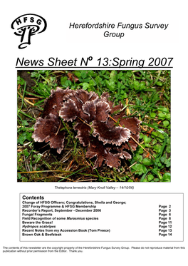 News Sheet N 13:Spring 2007