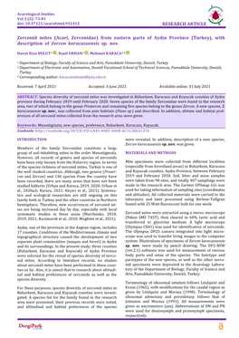 RESEARCH ARTICLE Zerconid Mites (Acari, Zerconidae)