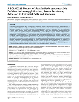 A BCAM0223 Mutant of Burkholderia Cenocepacia Is Deficient in Hemagglutination, Serum Resistance, Adhesion to Epithelial Cells and Virulence