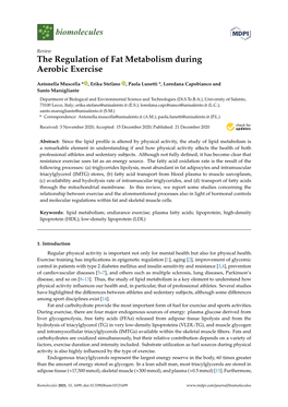 The Regulation of Fat Metabolism During Aerobic Exercise