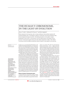 The Human Y Chromosome, in the Light of Evolution