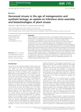 Harnessed Viruses in the Age of Metagenomics and Synthetic Biology: an Update on Infectious Clone Assembly and Biotechnologies of Plant Viruses