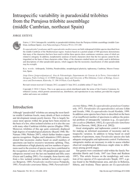 Intraspecific Variability in Paradoxidid Trilobites from the Purujosa Trilobite Assemblage (Middle Cambrian, Northeast Spain)