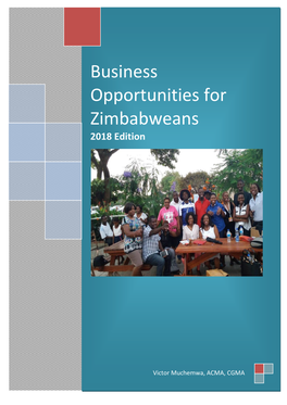 Business Opportunities for Zimbabweans 2018 Edition