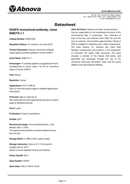 H2AFX Monoclonal Antibody, Clone 938CT5.1.1