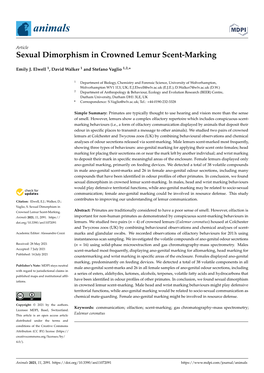 Sexual Dimorphism in Crowned Lemur Scent-Marking