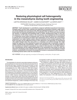 Restoring Physiological Cell Heterogeneity in the Mesenchyme