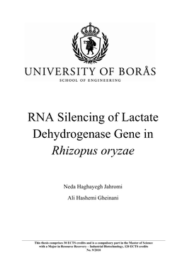 RNA Silencing of Lactate Dehydrogenase Gene in Rhizopus Oryzae