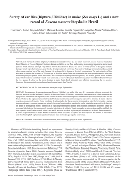 (Diptera, Ulidiidae) in Maize (Zea Mays L.) and a New Record of Euxesta Mazorca Steyskal in Brazil