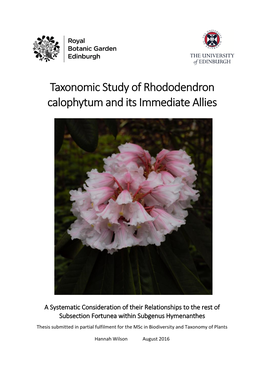 Taxonomic Study of Rhododendron Calophytum and Its Immediate Allies
