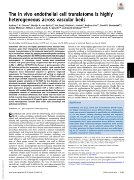 The in Vivo Endothelial Cell Translatome Is Highly Heterogeneous Across Vascular Beds