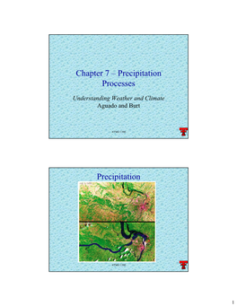 Chapter 7 – Precipitation Processes