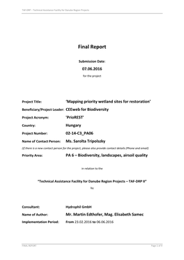 Final Report