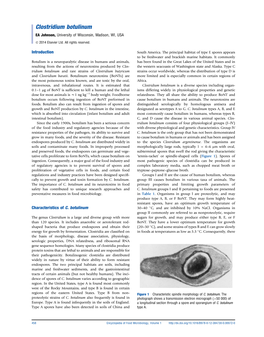 Clostridium Botulinum