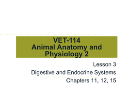 The Digestive System (Gastrointestinal Tract) (Alimentary