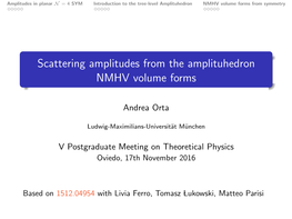 Scattering Amplitudes from the Amplituhedron NMHV Volume Forms