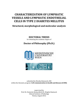 Characterization of Lymphatic Vessels and Lymphatic Endothelial Cells in Type 2 Diabetes Mellitus