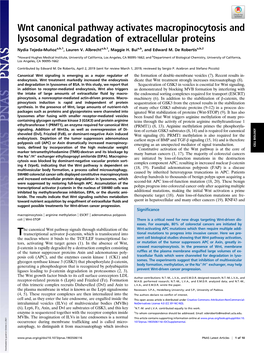 Wnt Canonical Pathway Activates Macropinocytosis and Lysosomal Degradation of Extracellular Proteins