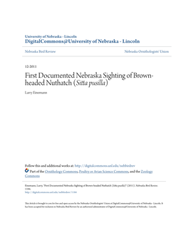 First Documented Nebraska Sighting of Brown-Headed Nuthatch (Sitta Pusilla)