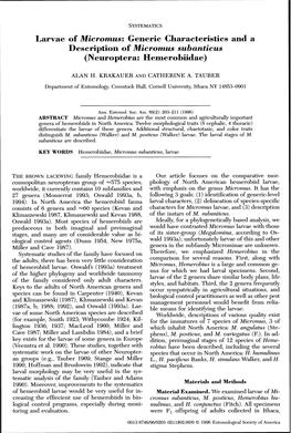 Description of Micromus Subanticus (Neuroptera: Hemerobiidae)