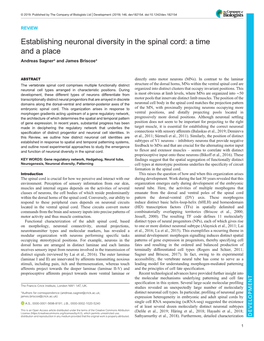 Establishing Neuronal Diversity in the Spinal Cord: a Time and a Place Andreas Sagner* and James Briscoe*