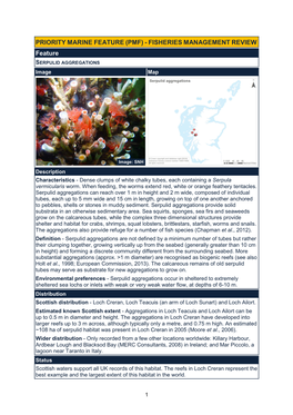 FEATURE (PMF) - FISHERIES MANAGEMENT REVIEW Feature SERPULID AGGREGATIONS Image Map