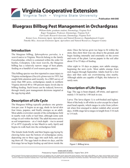 Bluegrass Billbug Pest Management in Orchardgrass