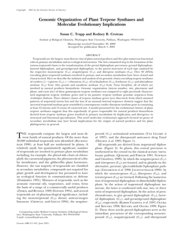 Genomic Organization of Plant Terpene Synthases and Molecular Evolutionary Implications