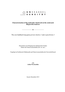 Characterization of the Molecular Clockwork in the Cockroach Rhyparobia Maderae