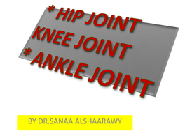 Hip, Knee & Ankle Joints