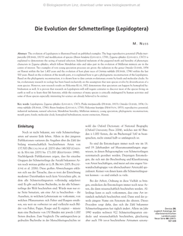 Die Evolution Der Schmetterlinge (Lepidoptera)