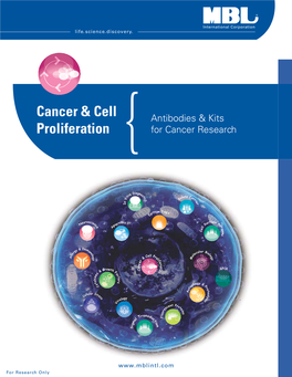 Cancer & Cell Proliferation