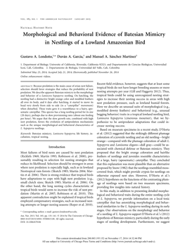 Morphological and Behavioral Evidence of Batesian Mimicry in Nestlings of a Lowland Amazonian Bird