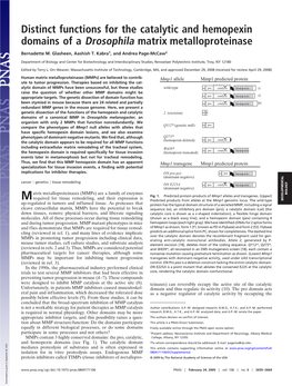 Distinct Functions for the Catalytic and Hemopexin Domains of a Drosophila Matrix Metalloproteinase