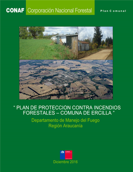 “ Plan De Protección Contra Incendioss Forestales – Comuna De Ercilla ”