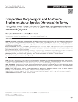 Moraceae) in Turkey Türkiye’Deki Morus Türleri (Moraceae) Üzerinde Karşılaştırmalı Morfolojik Ve Anatomik Çalışmalar