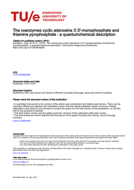 Monophosphate and Thiamine Pyrophosphate : a Quantumchemical Description