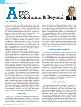 APEC: Yokohama & Beyond