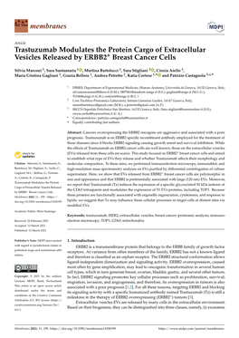 Trastuzumab Modulates the Protein Cargo of Extracellular Vesicles Released by ERBB2+ Breast Cancer Cells