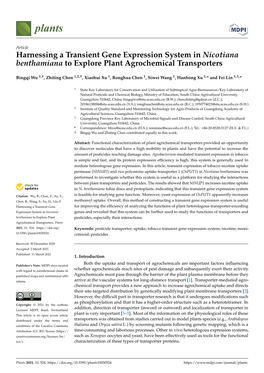 Harnessing a Transient Gene Expression System in Nicotiana Benthamiana to Explore Plant Agrochemical Transporters