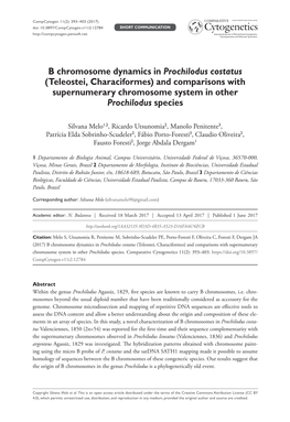 B Chromosome Dynamics in ﻿﻿Prochilodus Costatus