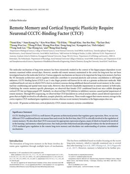 Remote Memory and Cortical Synaptic Plasticity Require Neuronal CCCTC-Binding Factor (CTCF)