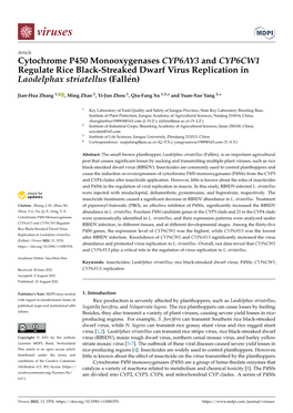 Cytochrome P450 Monooxygenases CYP6AY3 and CYP6CW1 Regulate Rice Black-Streaked Dwarf Virus Replication in Laodelphax Striatellus (Fallén)