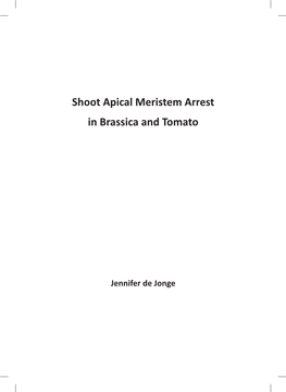 Shoot Apical Meristem Arrest in Brassica and Tomato