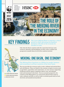 Economy of the Mekong River