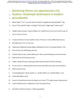 Mixotroph Dominance in Modern Groundwater