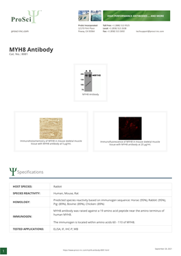 MYH8 Antibody Cat