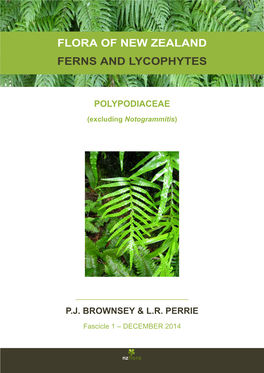 Flora of New Zealand Ferns and Lycophytes